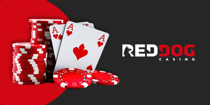 Meme4D – Cara Ampuh Jackpot Besar Casino Red Dog